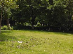 -沙河三洞古桥公园