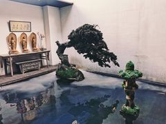 -觀芷隐轩