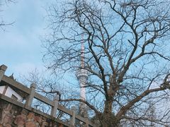 -龟山风景区-龟山电视塔