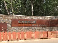 -东郊湿地公园