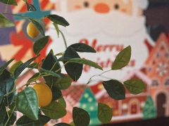 -弗兰克牛排西餐厅Ribone steak house(柠檬花园店)