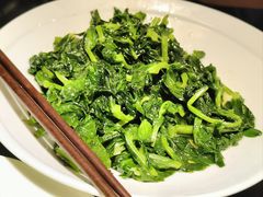 清炒豆苗-桃源春晓中餐厅 TaoYuan Restaurant
