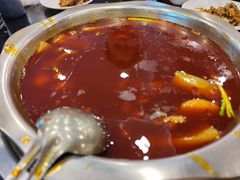 火锅兔-冯记香辣兔火锅(茶店子总店)