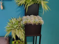 -圣典成人钢琴俱乐部(国贸旗舰校区)