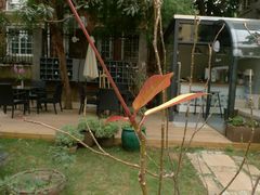 门面-厦门良筑精品酒店(厦门中山路店)