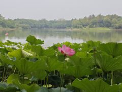 -江南大学(蠡湖校区)