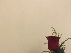 -红房子西菜馆(淮海中路店)