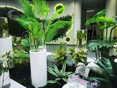 -东寨港红树林旅游区