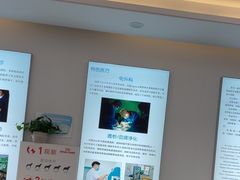 -北京观赏动物医院·24小时大型综合·猫专科·异宠专科