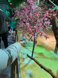 -酷嗒动物文化乐园(cutezoo西溪乐天城店)