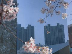 -龙美术馆(西岸馆)