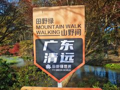 -田野绿世界