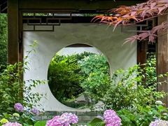 -临平公园(临平街道)