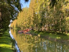 -黄海国家森林公园