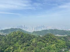 -大金鹰园