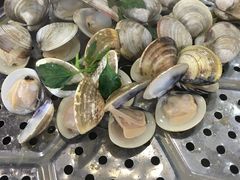 -海大大蒸汽海鲜餐厅·粤菜·特色小炒(欢乐颂店)