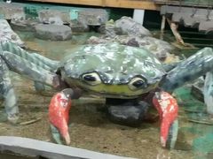 -上海大自然野生昆虫馆(东方明珠·爬宠昆虫探索中心)