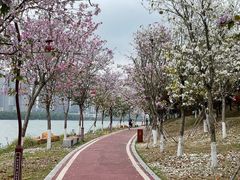 -鹤之洲湿地公园