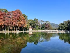 -广州市白云山风景名胜区