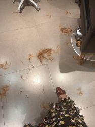 -东方麒麟·潘多拉SALON