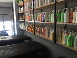 -青禾造型&刺青