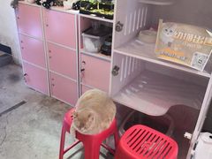 -喵匠猫主题咖啡(凯德和平广场店)