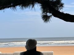 -日照海滨国家森林公园