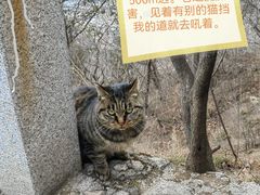 -北京凤凰岭