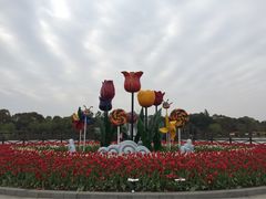 -上海鲜花港