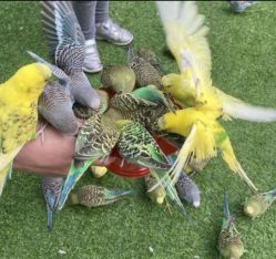 -萌宠亲子动物乐园(槐房万达店)