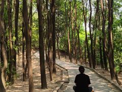 -火炉山森林公园