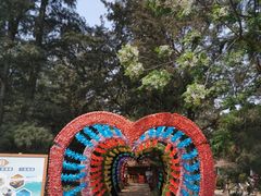 -北海金海湾红树林生态旅游区