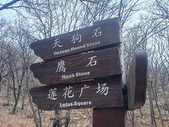 -吉林市朱雀山国家森林公园