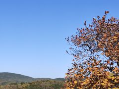 -北京西山国家森林公园