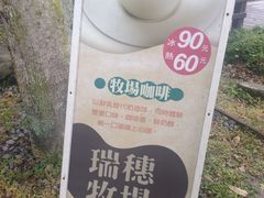 -瑞穗牧场