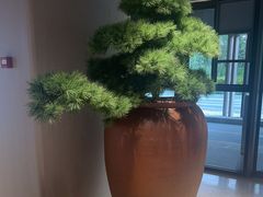 -全季酒店(苏州乐园店)