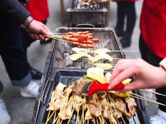 -罗家巷子休闲庄自助碳烤