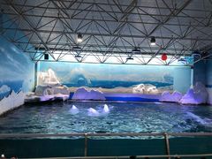 -秦皇岛乐岛海洋王国