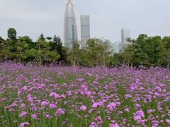 -深圳湾公园(南山区)