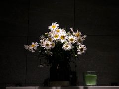 -幸薈飯堂