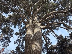 -终南山南五台景区