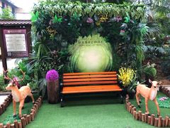 -郑州银基黄帝宫御温泉