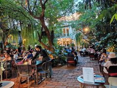 -Fern Forest Cafe