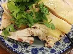 -九斤黄三黄鸡专卖店