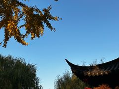 -常熟方塔园
