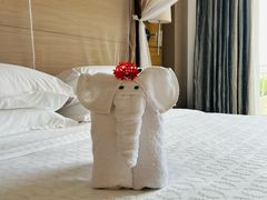 -海口喜来登酒店