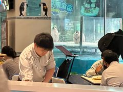 -帝企鹅自助餐厅•儿童岛•真企鹅(长隆企鹅酒店)