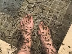 -中家鑫园温泉酒店鑫悦汤泉