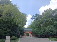 -灵谷景区