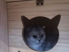 -悠米私人影院(街道口店)